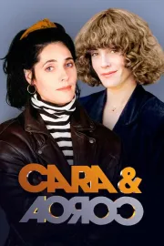 Novela Cara & Coroa Completa - Envio Digital | Casa das Novelas